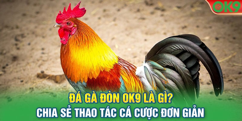 Điểm danh những hình thức đá gà OK9 hot nhất