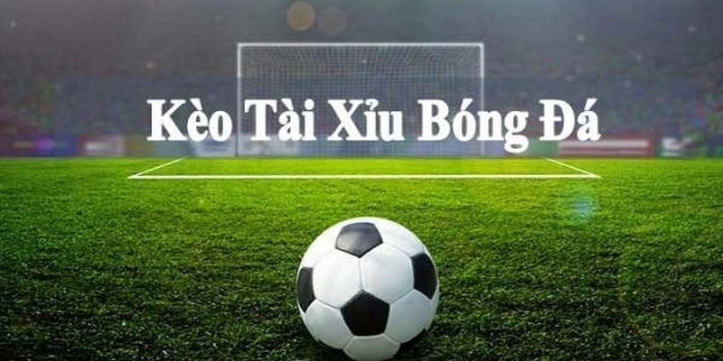 Tổng quan về hình thức tài xỉu đá banh là gì?